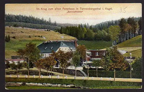 63542 AK Tannenbergsthal i. V. 1923 Gasthaus Im Krug zum alten Forsthaus J