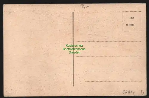 52814 AK Zwickau um 1910 Innere Plauensche Straße