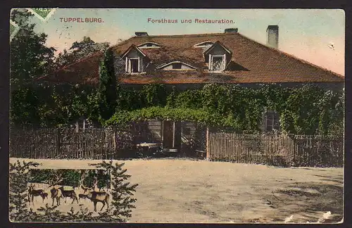 50910 AK Tuppelburg 1912 / 1916 Forsthaus und Restauration
