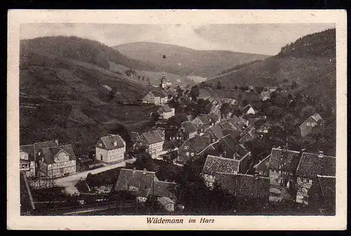 43633 AK Wildemann im Harz 1924