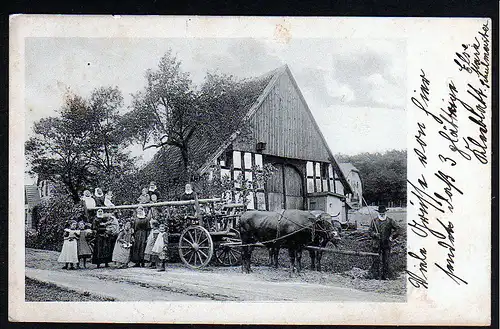 36402 AK Bethel Pastor Bodelschwingh Ochsenwagen 1911
