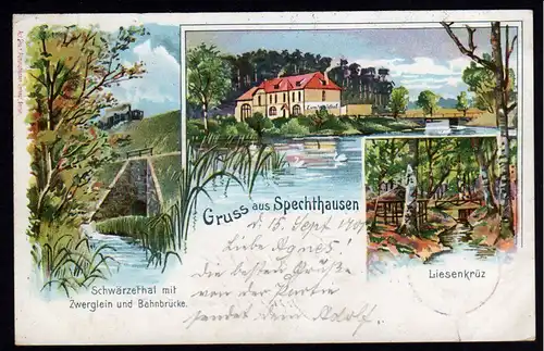 35874 AK Spechthausen Litho Liesenkrüz Schwärzetal Zwerglein Bahnbrücke 1901