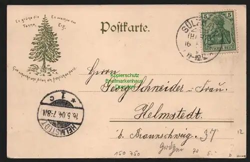 150750 AK Sülzhayn Ellrich Thüringen 1904 Waldhaus Gasthaus Hotel