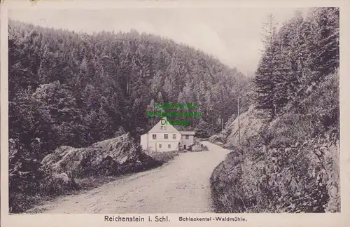 156973 AK Reichenstein in Schlesien Schlackental Waldmühle 1929