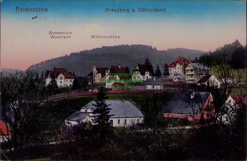 156748 AK Reichenstein in Schlesien 1911 Kreuzberg Villencolonie Waldheim