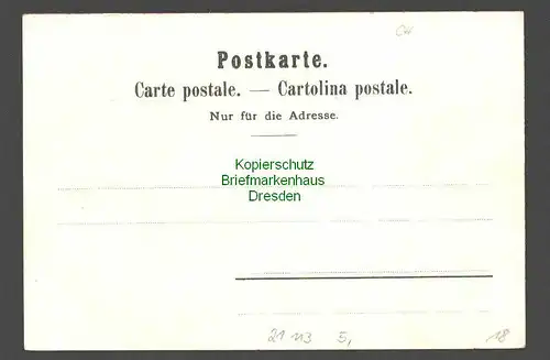 21113 AK Basel Litho um 1900 Spalenthor Porte St. Paul Alte Rheinbrücke