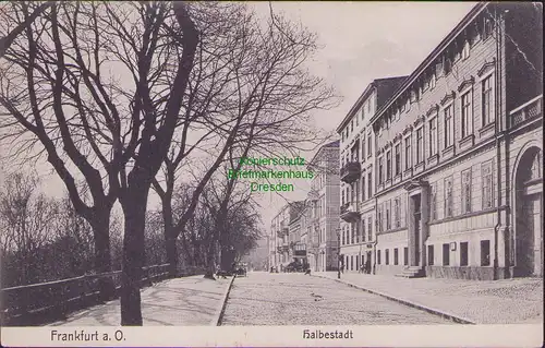 157609 AK Frankfurt Oder um 1910 Halbestadt