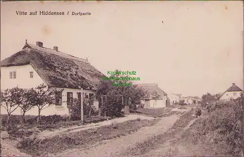 157405 AK Vitte auf Hiddensee um 1920 Dorfpartie Dorfstraße
