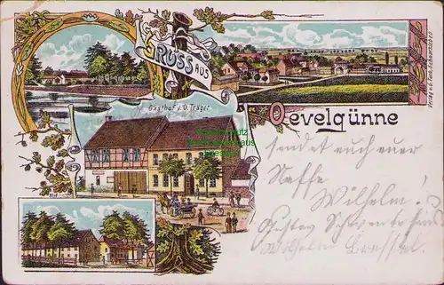 157509 AK Ovelgünne Eilsleben Oevelgünne um 1910 Litho  Gasthof Träger