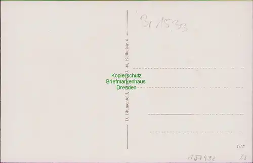 157432 AK Kolonie Stahnsdorf West Kr. Potsdam-Mittelmark 1931 Straßenpartie