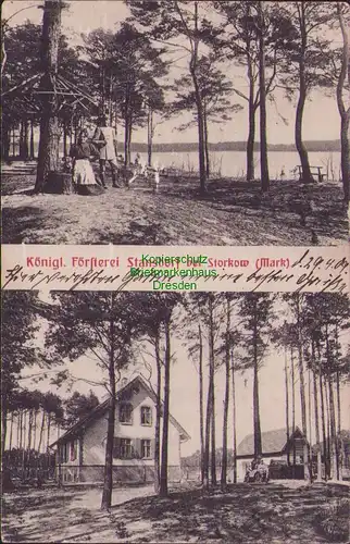 157318 AK Stahnsdorf bei Storkow Mark 1909 Königliche Försterei