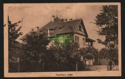 140368 AK Lucka Sachs.-Alt. 1919 Forsthaus