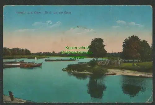 139333 AK Neusalz an der Oder Nowa Sol Blick auf die Oder um 1915