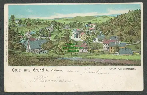 138662 AK Litho Grund bei Mohorn vom Silberblick um 1910