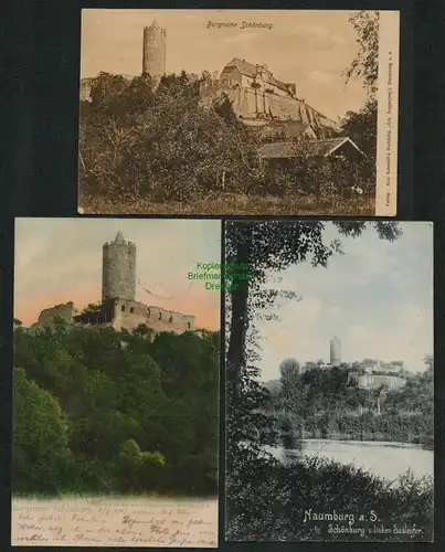 139090 3 AK Burgruine Schönburg Naumburg an der Saale 1905 1908