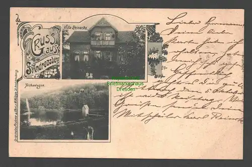 138422 AK Sankt Sanct St. Andreasberg 1904 Villa Reinecke und Teichanlagen