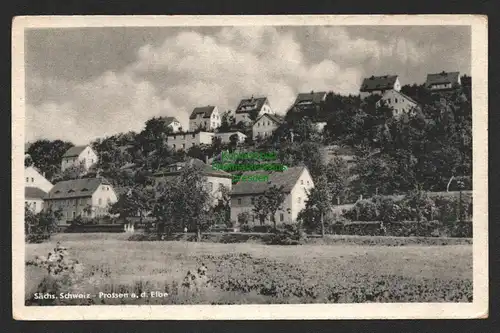 138291 AK Sächs. Schweiz Prossen an der Elbe 1954