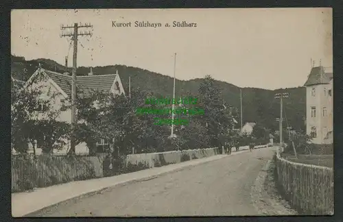 137893 AK Kurort Sülzhayn a. Südharz Dorfstraße 1916