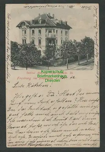 137646 AK Freiburg im Breisgau Institut Almonte 1902 Villa Jacobistr. 15