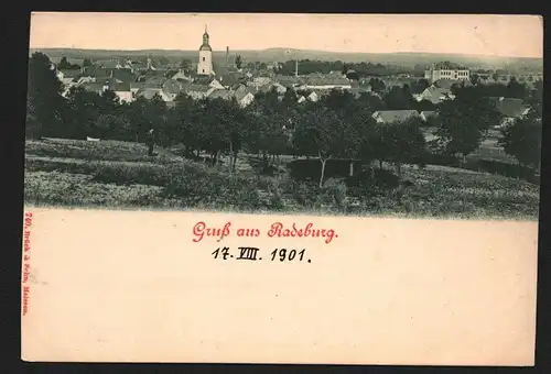 134773 AK Radeburg 1901 Panorama