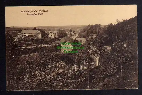 129235 AK Sommerfrische Mohorn Tharandter Wald um 1915