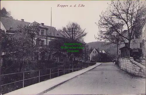 157755 AK Krippen a. d. Elbe um 1920 Restauration Gasthaus