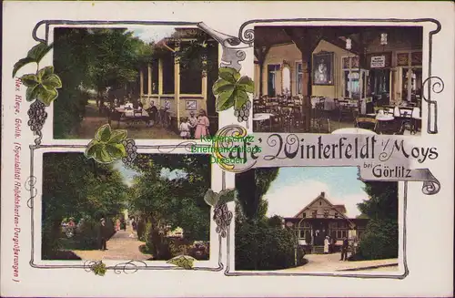 157775 AK Moys bei Görlitz Cafe Winterfeldt 1910