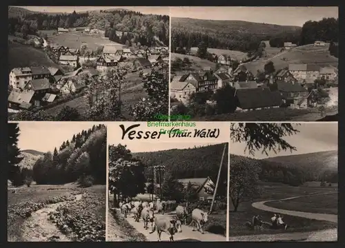 149485 AK Vesser Thür. Wald 1972