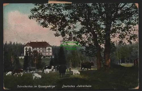 149524 AK Schreiberhau im Riesengebirge 1910 Deutsches Lehrerheim
