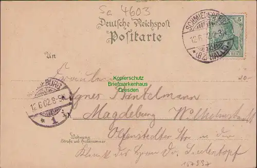157997 AK Schmiedeberg Bz. Halle 1902 Braunlitho Badehaus Rathaus Villa Moltke