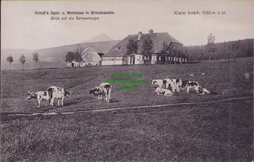 158026 AK Mala Upa Kleinaupa 1911 Heindl´s Gast- u. Weinhaus Blick Schneekoppe