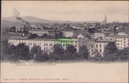157931 AK Neustadt O.S. Oberschlesien Panorama 1901 Prudnik
