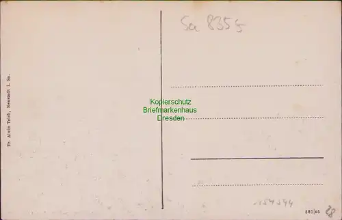 154544 AK Neustadt Sa. Licht-, Luft-, und Sonnenbad vom Naturheilverein um 1910