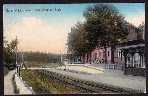 53552 AK Bahnhof Langenbernsdorf Werdauer Wald 1917