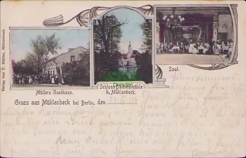 157331 AK Mühlenbeck bei Berlin 1904 Müllers Gasthaus Schloß Dammsmühle Saal