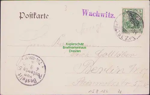 158186 AK Wachwitz 1905 mit privatem (?) Poststellenstempel Dampfer Leitmeritz