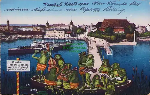 154915 AK Konstanz am Bodensee 1930 Frosch Frösche Froschkonzert Kapelle