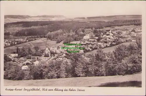 154823 AK Berggießhübel Fotokarte Panorama 1956