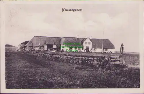 154819 AK Hadersleben Schleswig 1914 Friesenhäuser Friesengehöft