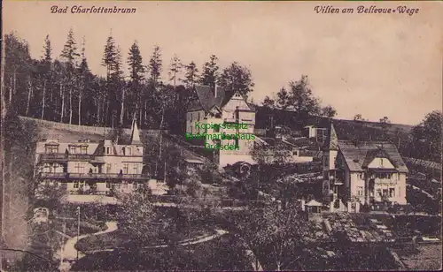 154753 AK Bad Charlottenbrunn i. Schlesien um 1920 Villen am Bellevue Wege