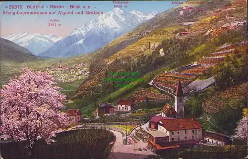 154691 AK Südtirol Meran Algrund und Gratsch Kirche Baumblüte um 1915