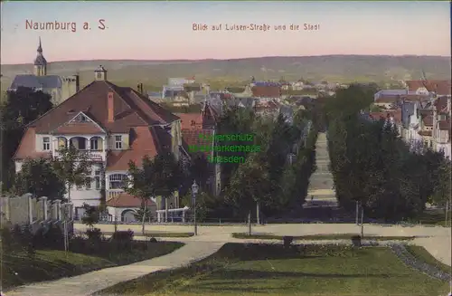 154681 AK Naumburg Saale um 1910 Blick auf Luisen Straße und die Stadt