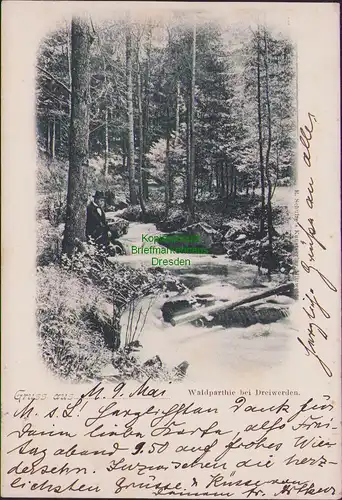 154596 AK Dreiwerden bei Mittweida Waldpartie 1900