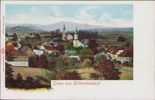 152510 AK Dittmannsdorf  Schlesien um 1905