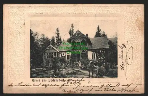 146153 AK Bodensdorf 1904 Steindorf am Ossiacher See Feldkirchen Kärnten Nieder