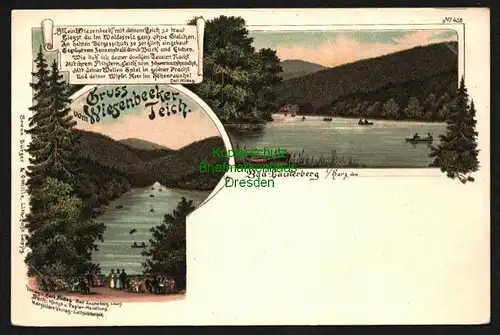 143479 AK Bad Lauterberg im Harz Litho um 1900 Wiesenbeeker Teich