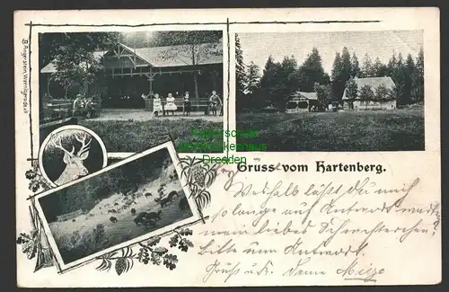 141371 AK Hartenberg Elbingerode 1903 B. Angerstein Wernigerode