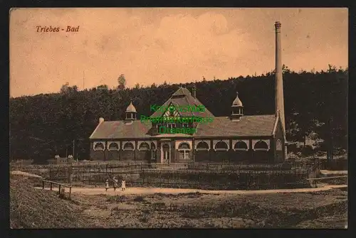 137978 AK Triebes 1910 Bad Bahnpost Werdau - Mehltheuer