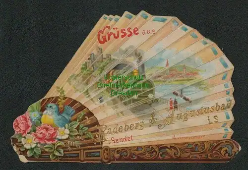 137725 Karte Blatt Fächer Grüsse aus Radeberg & Augustusbad um 1900 Litho