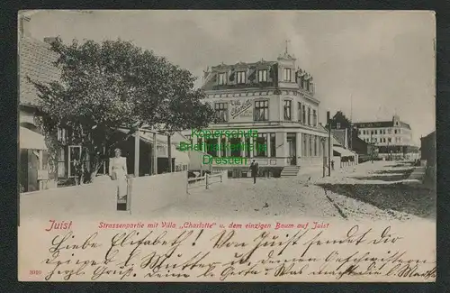 137774 AK Juist Villa Charlotte und dem einzigen Baum auf Juist 1903